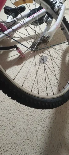 Só roda com Pneu bike frente aro 24