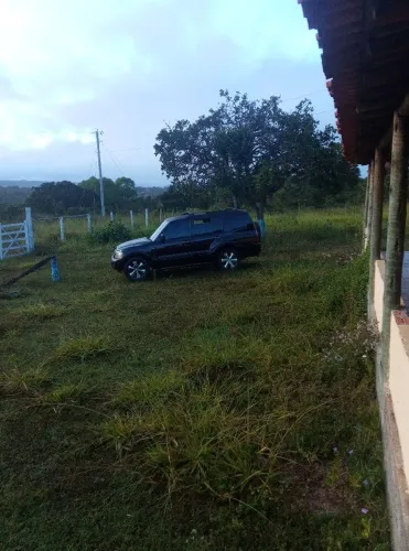 Aluga se pasto braquiária região de Francisco 