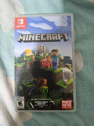 Minecraft Nintendo switch