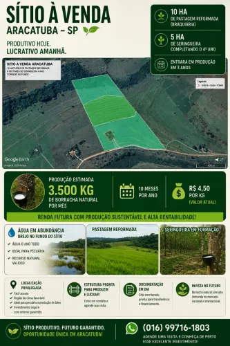 Vendo Sitio 16 hectares