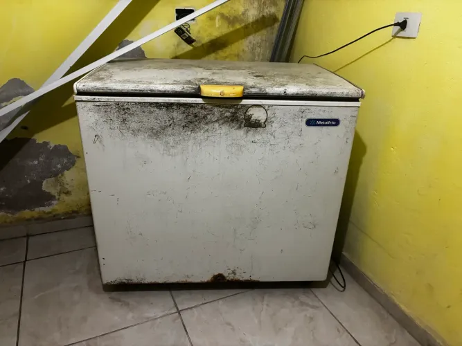 Freezer horizontal