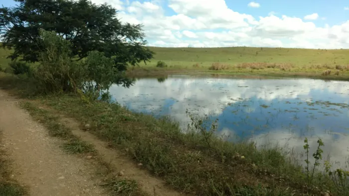Fazendinhas em Cordisburgo 20.000m²