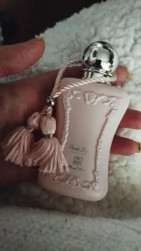 Perfume Delina brand collection 
