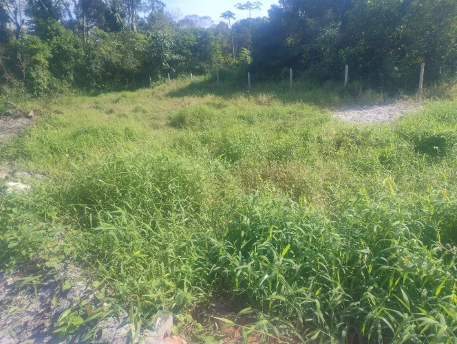 Terreno
