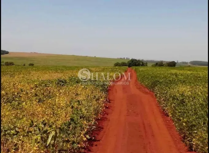 Sítio à venda em Maringá, Zona 03, com 1 quarto