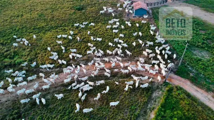 Fazenda/Sítio/Chácara para venda possui 105000000 metros quadrados em Velha Marabá - Marab