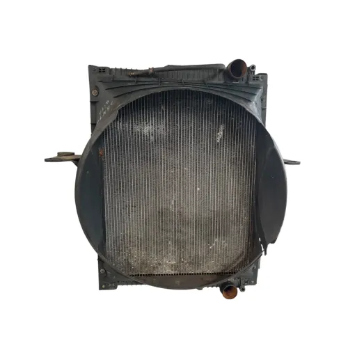 Radiador de água Volvo VM 310 2010