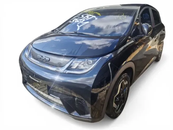 Peças Sucata BYD Dolphin GS 180 EV 2023