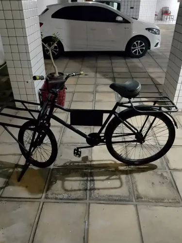 Bicicleta cargueira 
