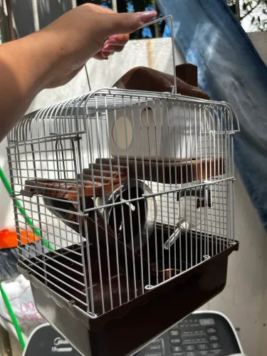 Casinha pra hamster 