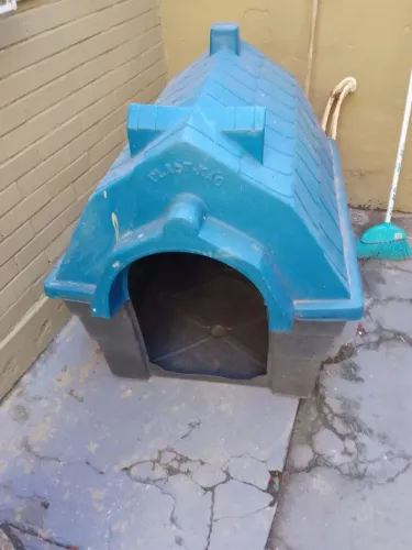 Casinha cachorro porte grande