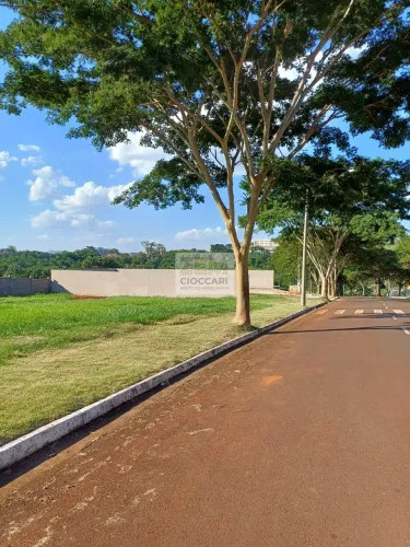 Lote / Terreno em Loteamento Santa Marta - Ribeirão Preto