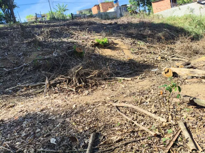 Venda de 4 terrenos em Cariacica - ES/ cerca de 330 M² por R$100.000 cada