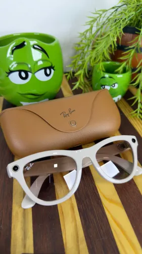Ray Ban meta skyler 
