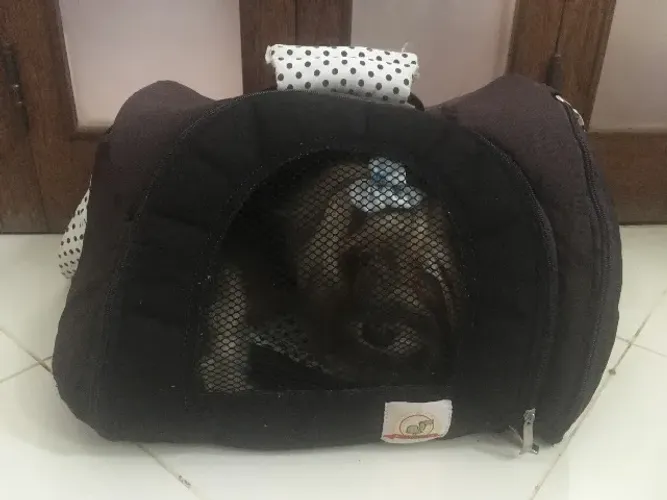 Caixa de transporte para cachorro/gato
