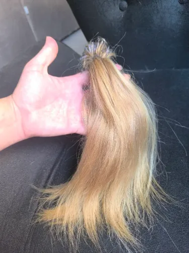 Vendo cabelo humanoR$ 100,00 loiro dourado 30cm 51 gramas