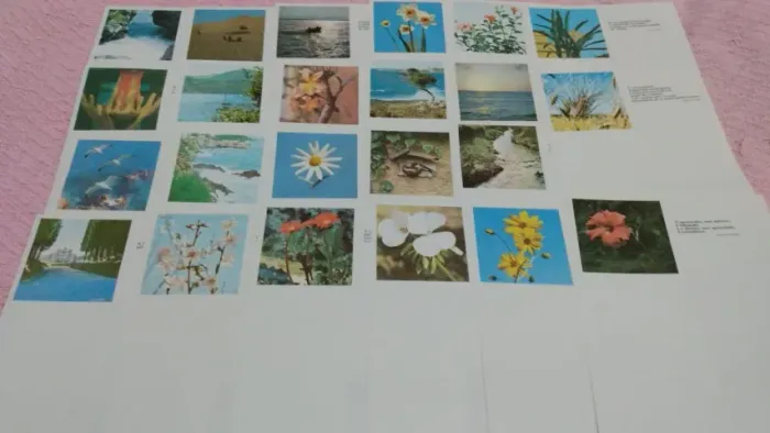 Lote de papel de carta antigo 23 folhas com frases lindas