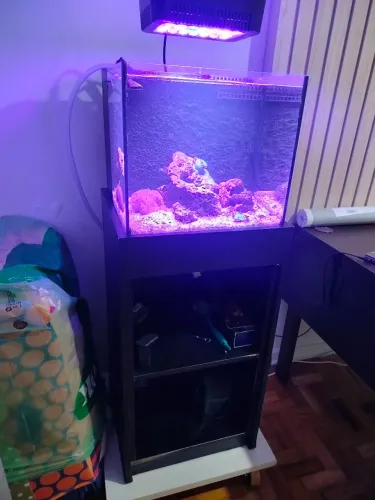 Aquário Marinho - Nano 56L - Completo