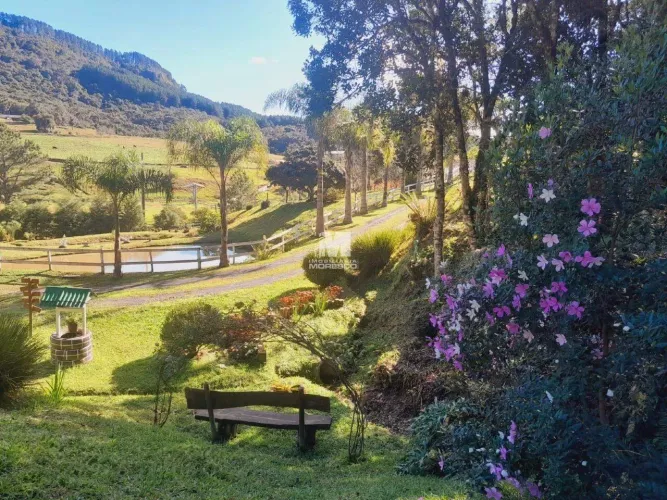 Sítio/Chácara à venda em Alfredo Wagner (SC)  Residencial ou Comercial