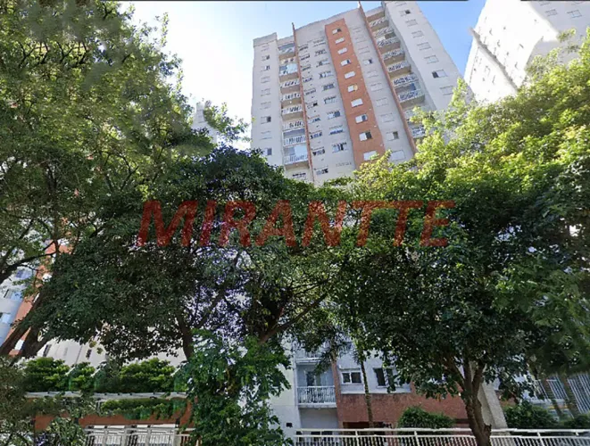 Apartamento de 47m² com 2 quartos em Lauzane Paulista