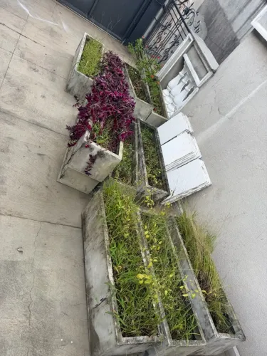 Jardineira de cimento