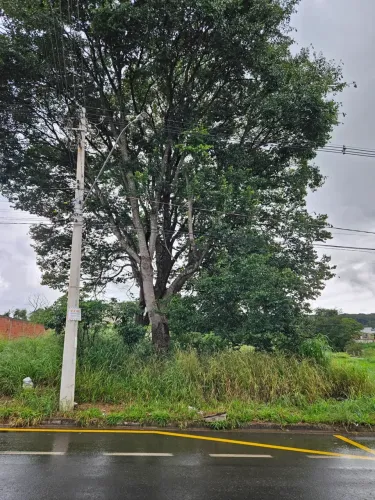 Imóvel para venda tem 360 metros quadrados em Residencial Portal do Oriente - Goiânia - GO
