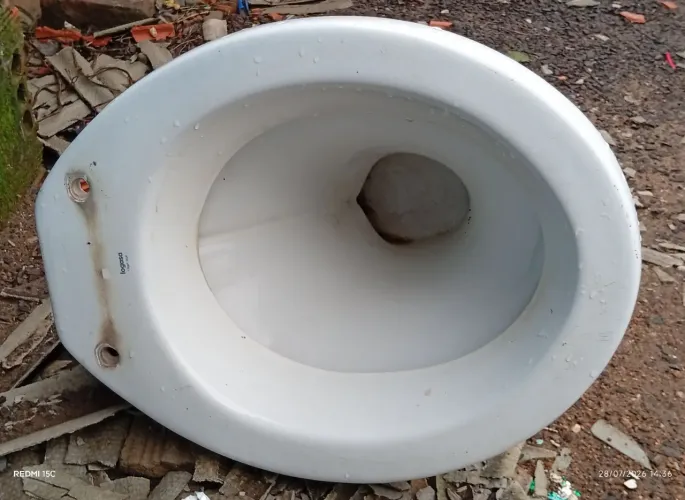 Vaso sanitário branco sem caixa