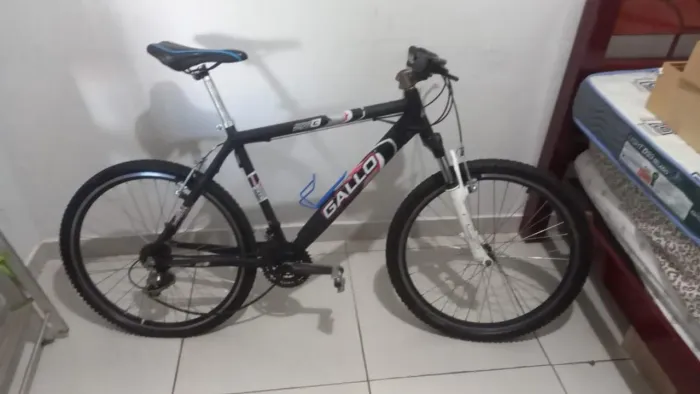 Bicicleta