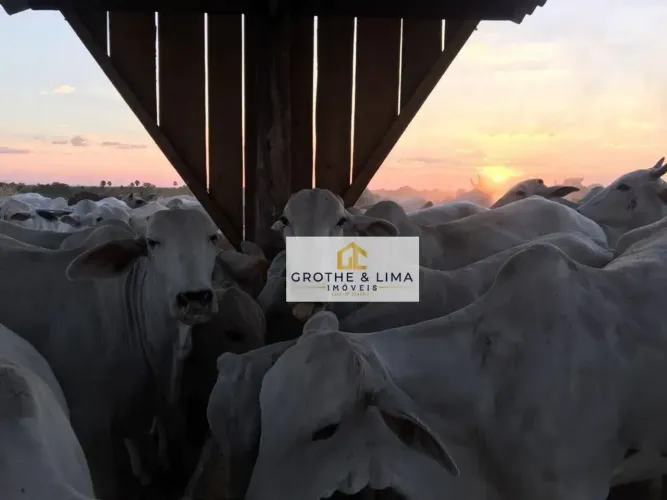 Fazenda à venda, 4808 hectares por R$ 72.000.000 - MA