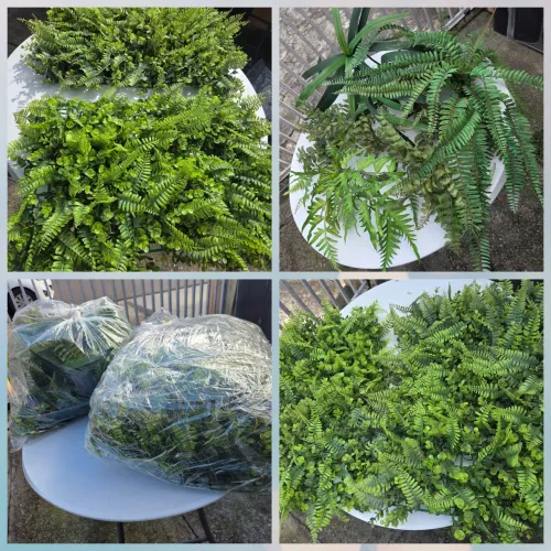 Placa Plantas Artificiais