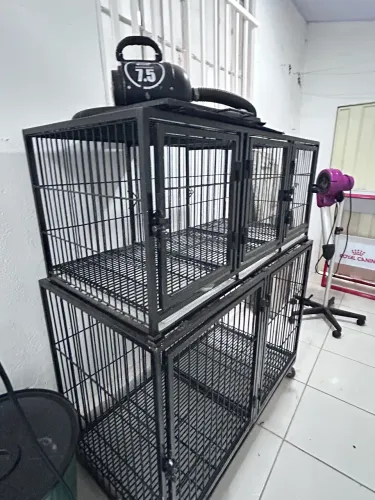 Canil 8 lugares para petshop, clínica veterinária ou internação 