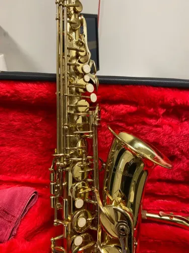 Sax Alto Shelter + Case Ultra Resistente (Aguenta até 120kg!)