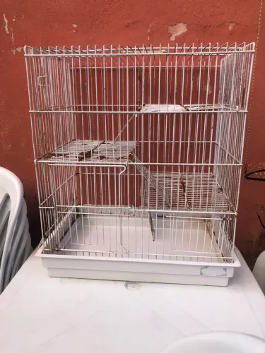 Gaiola Grande para Roedores (Rato, Mini Coelho, Porquinho da Índia) + Acessórios