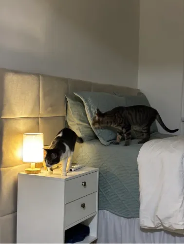 CABECEIRA CAMA CASAL E QUEEN