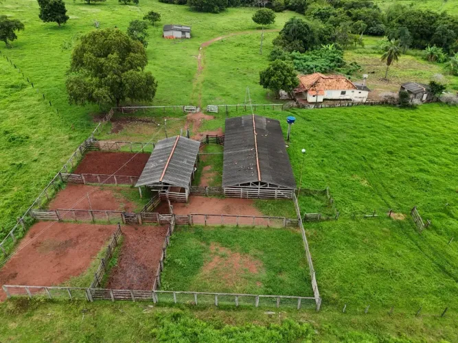 Fazenda de 239 alqueires em Doverlandia-GO