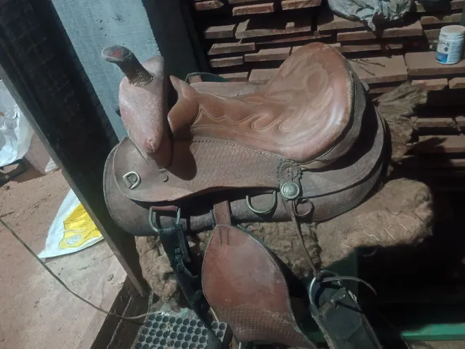 Cela em perfeito estado