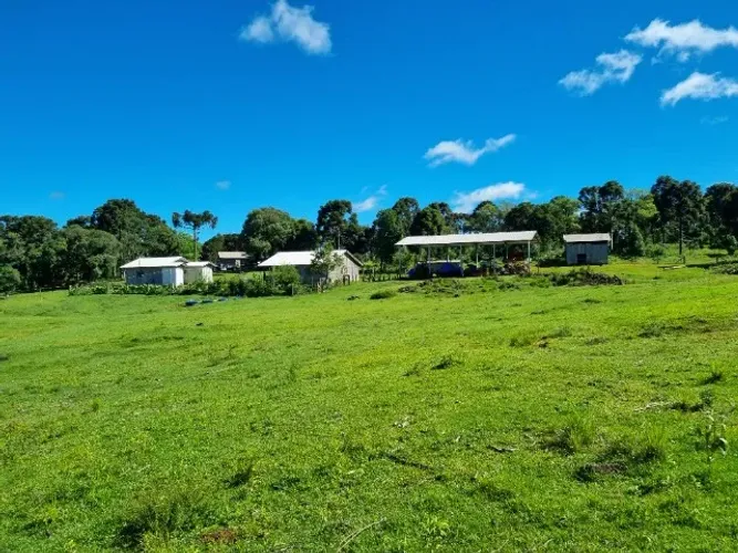 Sítio 5 alqueires em Pinhão/PR - Distrito de Bom Retiro