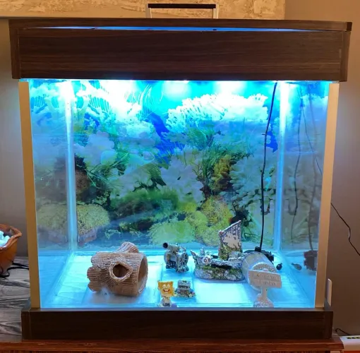 Aquário completo.