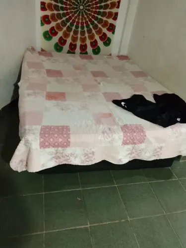 Cama cadal