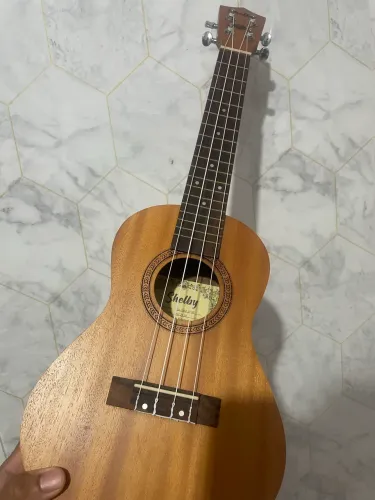 Ukulele Consert Shelby