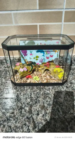 Aquário para peixinhos completo