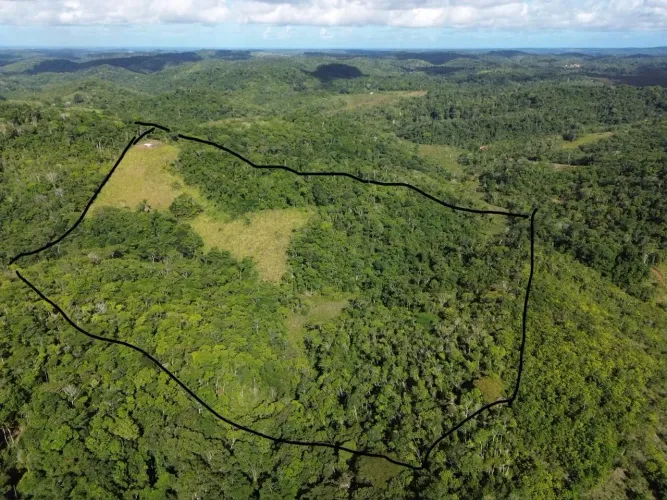 ROÇA A VENDA