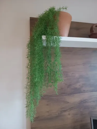Planta artificial pendente decorativa