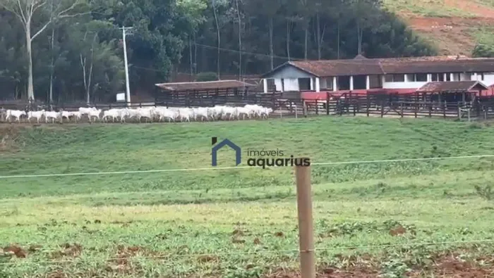 Fazenda com 3 dormitórios à venda, 7986000 m² por R$ 45.000.000,00 - Vila Passos - Lorena/