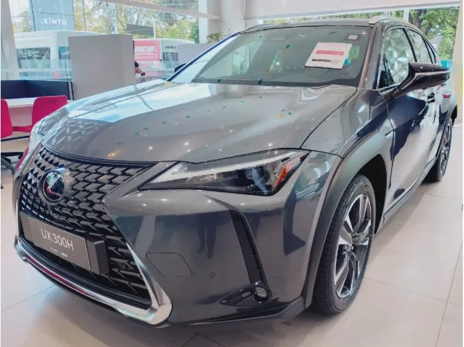 Lexus UX-300h 2.0 16V Aut. (híbrido) 2025