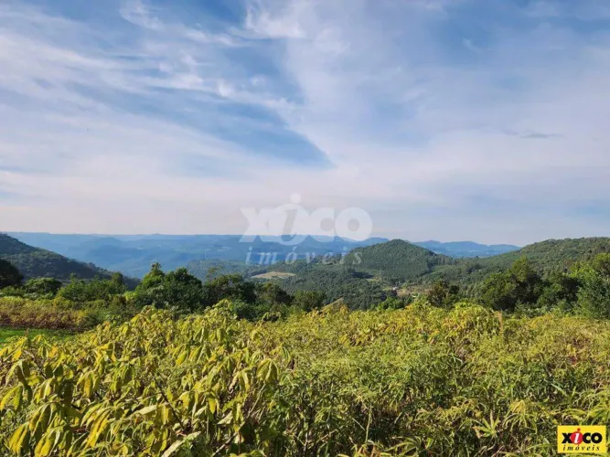 TERRENO PARA VENDA EM NOVA PETRÓPOLIS / RS NO BAIRRO LINHA OLINDA