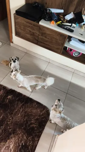 Procura-se uma namoradinha 