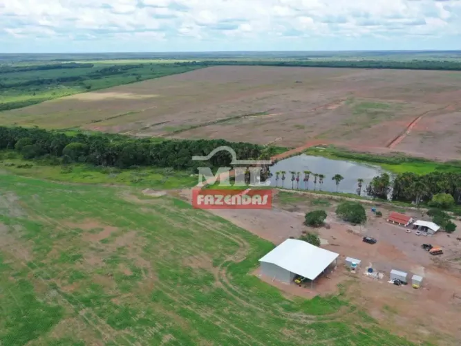 Fazenda 185 alqueires (895,40 hectares) Cristalândia - Go