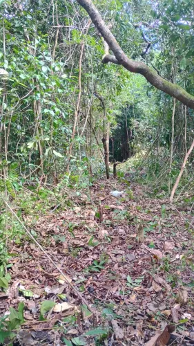 Sotes de terreno em morros 