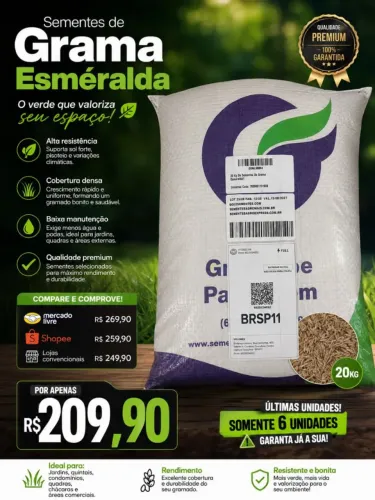 Sementes de grama esmeralda esmeralda 20 kg